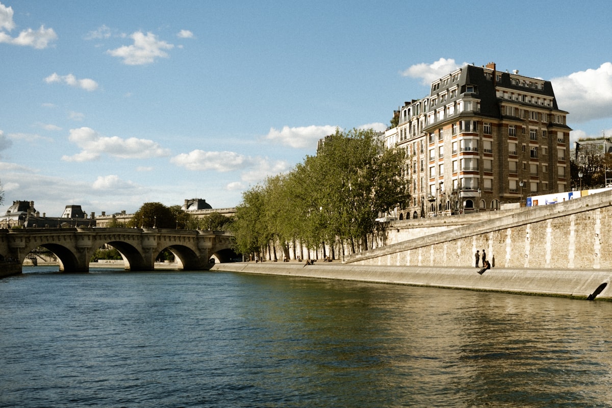 Pont Neuf et la Seine &agrave; l'&Icirc;le de la Cit&eacute;