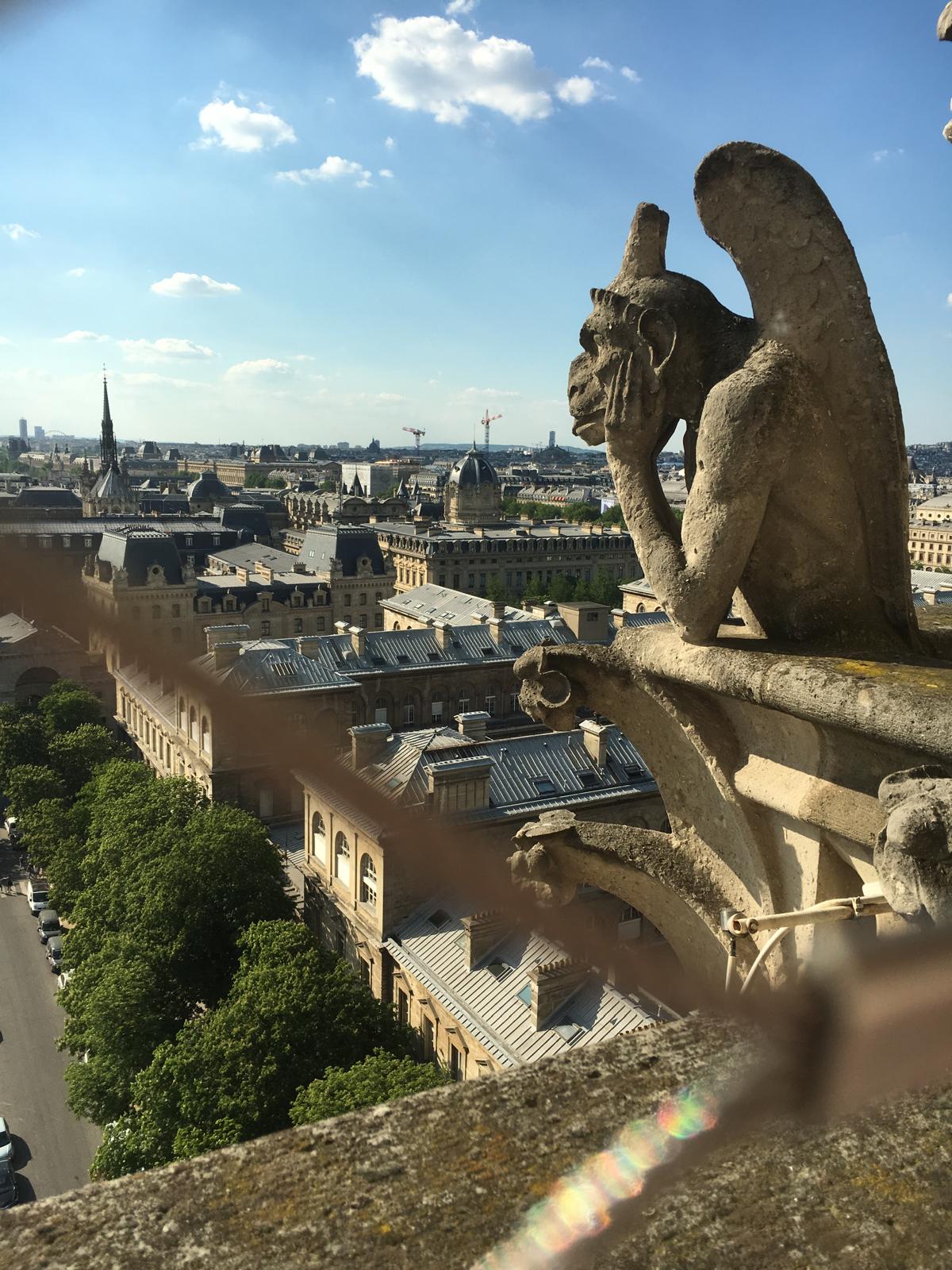 Gargouille de Notre-Dame surplombant Paris