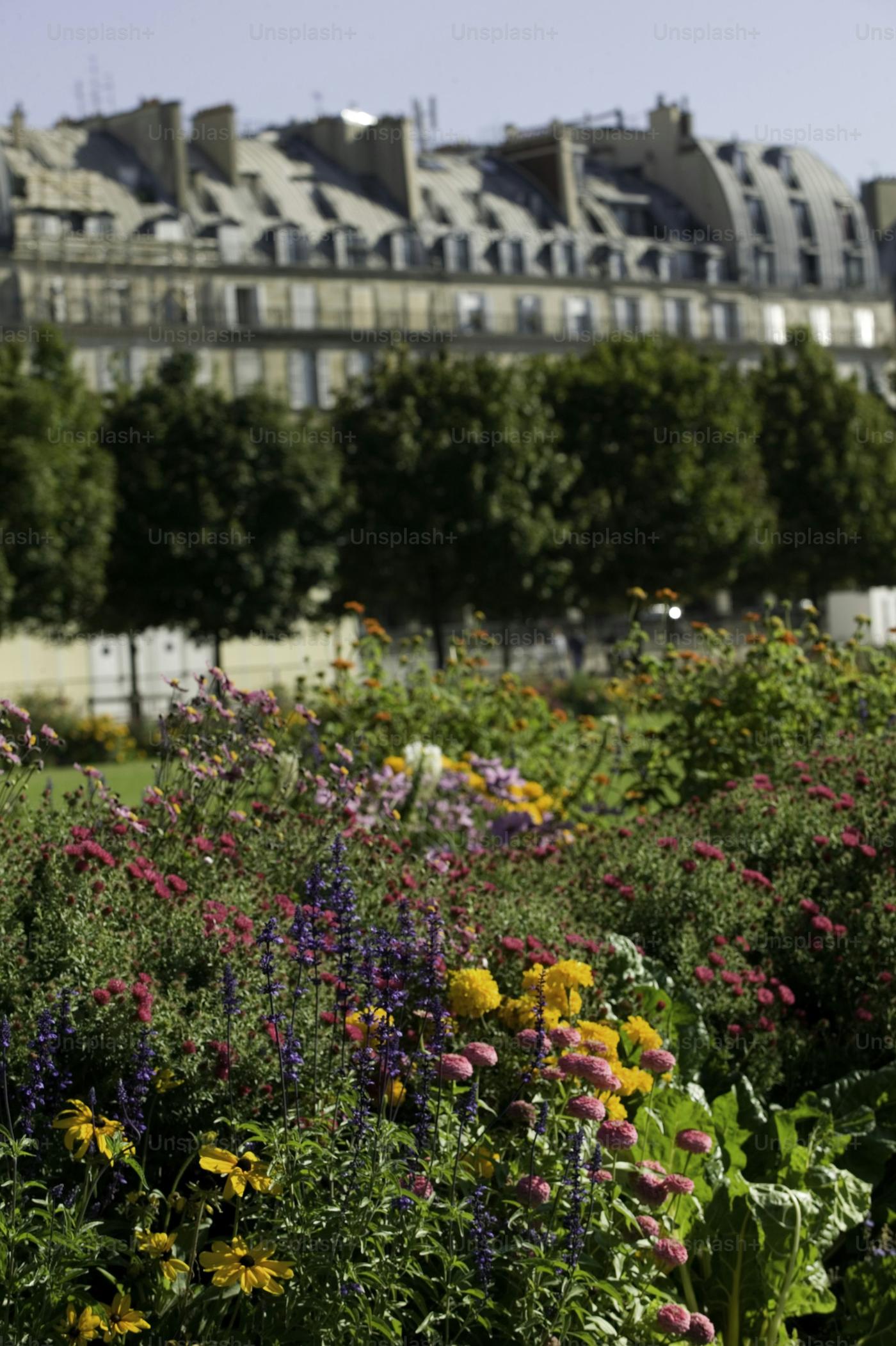 Jardin des Tuileries